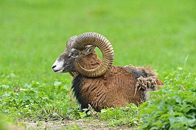 类恶魔城新作《流放领主》现已正式上市