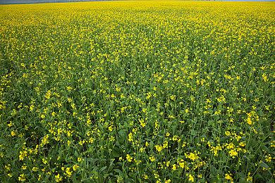 《LOOP8 降神》主角“迩迩”介绍影片公布 明年3月发售