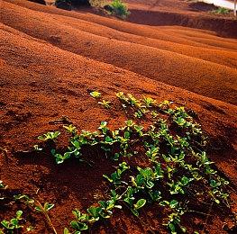 Steam最新一周销量榜 《使命召唤：黑色行动6》登顶